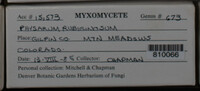 Image Associated With the Occurence